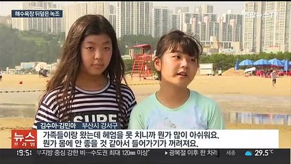 바다까지 뒤덮은 낙동강 녹조…다대포해수욕장 임시 폐쇄