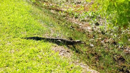 15 Horse Moments You Wouldn't Believe Your Eyes