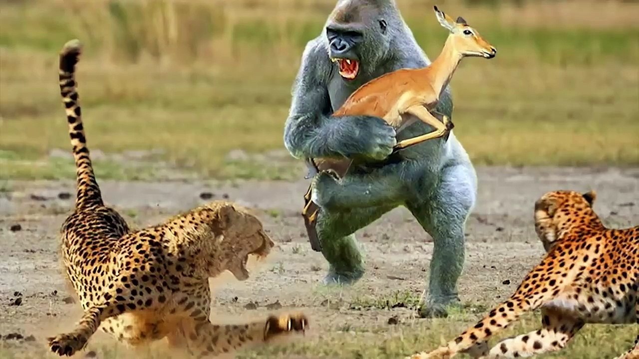 15 Unbelievable Animals That Saved Other Animals