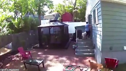 15 Times Animals Took Revenge On Humans #2