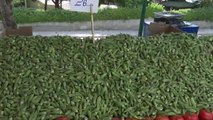 Tokat haber! Yaz Mevsimi Biterken Pazar Fiyatlarında Ciddi Düşüş Olmadı, Vatandaş İncir ve Bamyanın Tadına Bile  Bakamadı