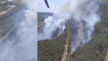 Son dakika haber! İzmir'de Orman Yangını