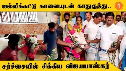 ADMK Vijayabaskar | காளையை கட்டாயப்படுத்தி விழா