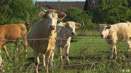 Germany: Seeing where food comes from firsthand