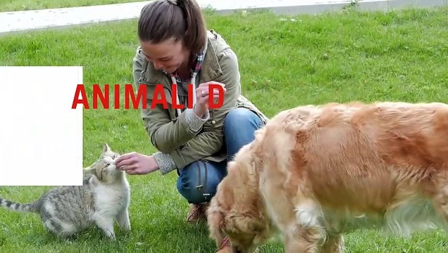 Allergie, parassiti e infezioni: cosa c'è da sapere per convivere con gli animali domestici