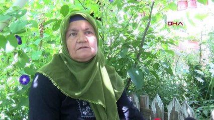 KÖPEKLER TAVUK VE HİNDİLERİ PARÇALADI