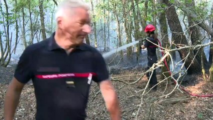 En forêt sinistrée de La Teste, les bénévoles du feu toujours aux aguets