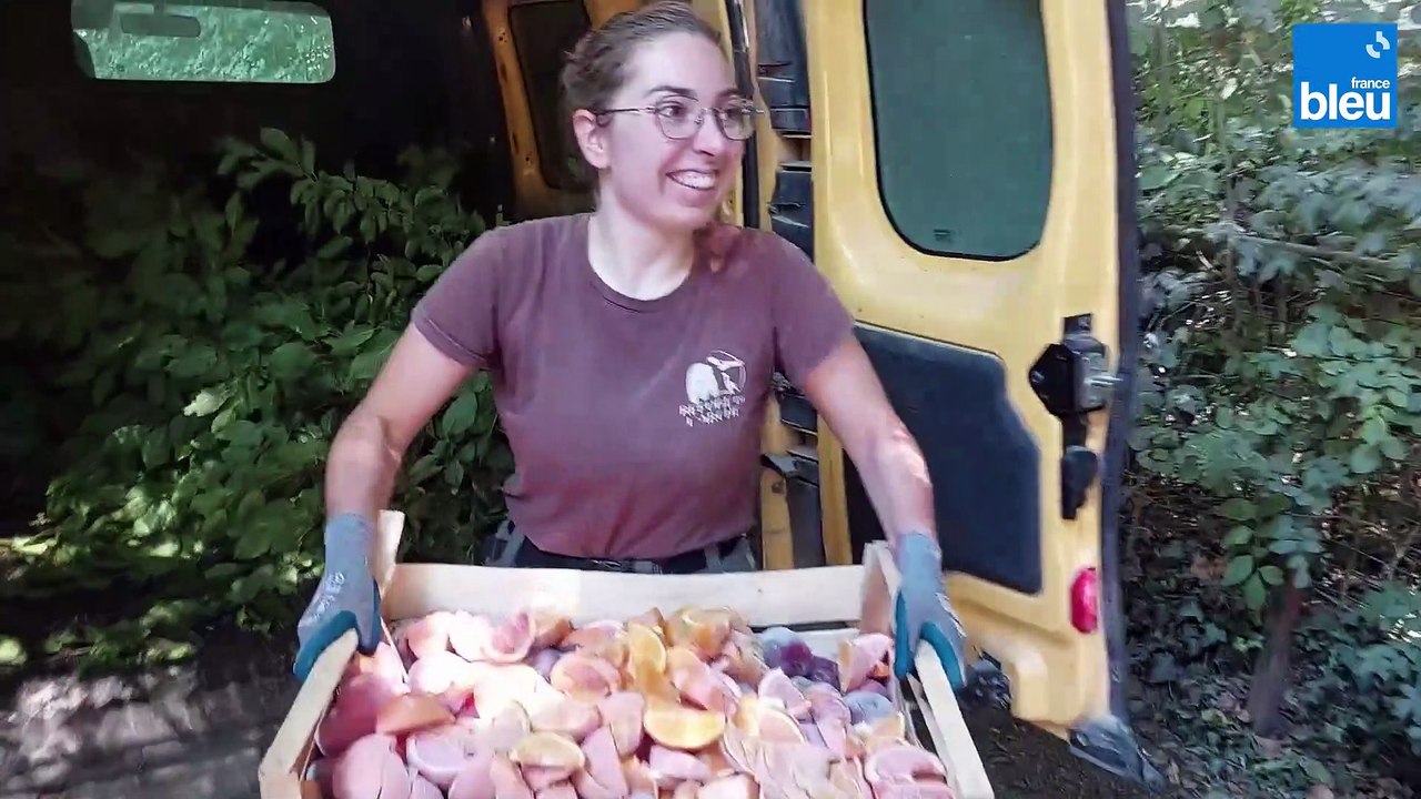 Au Refuge de l'Arche, on rafraîchit les animaux avec des fruits glacés et des branches fraîches
