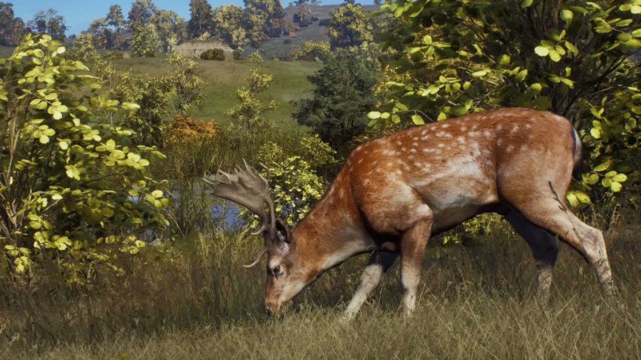 6 Minuten in Way of the Hunter beweisen: Diese Open-World-Jagdsim schreibt Realismus groß