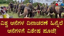 ಆನೆಗಳಿಗೆ ಅರಣ್ಯ ಇಲಾಖೆಯಿಂದ ಪೂಜೆ | World Elephant Day | Public TV