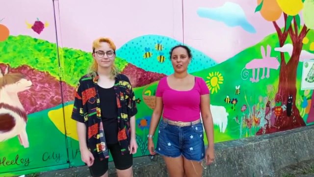 Heeley City Farm to host free heritage walks