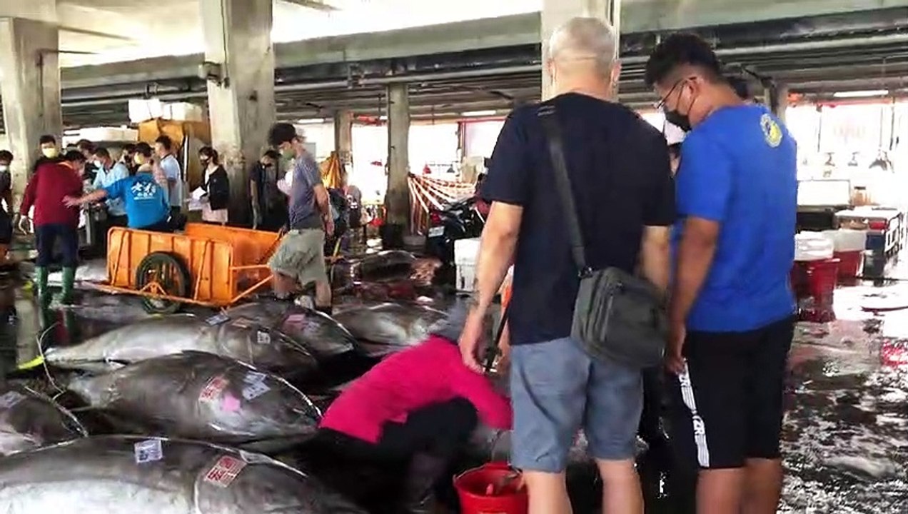 Great cutting skills, cutting bluefin tuna is the same as cutting tofu