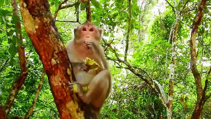 54=OMG ..!! ANNA just ate a happy cake almost to die