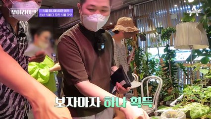 ※이해불가※ 식물 사려고 텐트치고 오픈런? 식물 푸어의 소비 내역 大공개