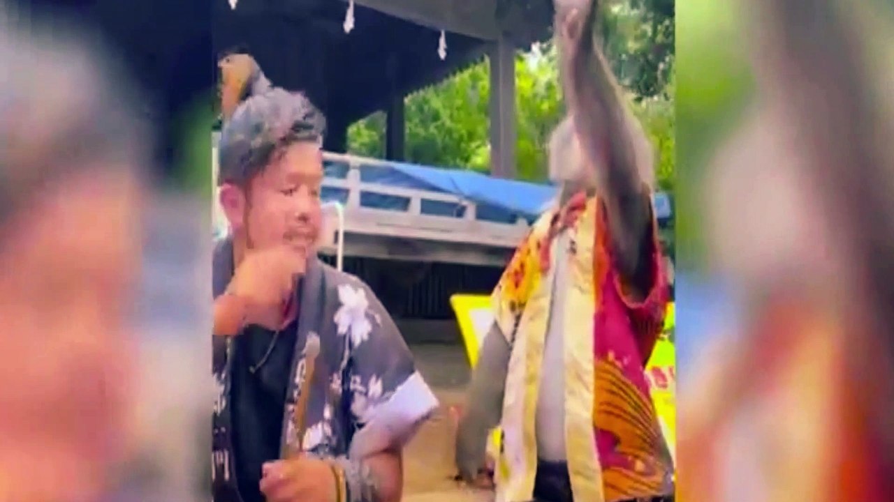 Animal fails compilation 2022  - Best Dogs And Cats Videos 