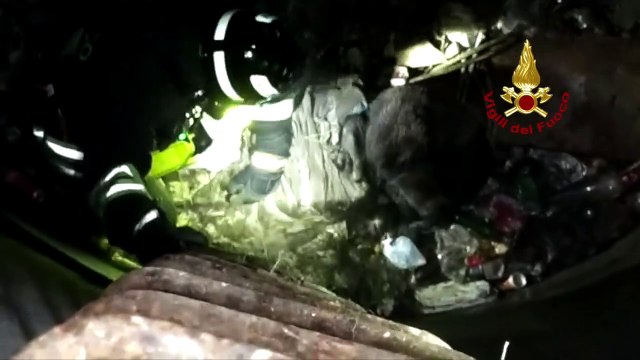 Catanzaro, i vigili del fuoco salvano un labrador caduto in un pozzo