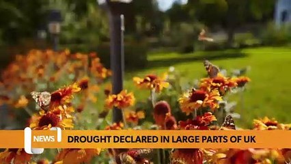 National Headlines 12 August: Drought declared and who will host Eurovision?
