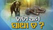 World Elephant Day | Jumbo tragedy in Odisha- Sharp spike in elephant deaths in State | Spl Story