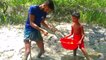 Amazing Mud Crab Catching ｜ Catching Crabs After The Sea Water Go Down From Secret Hole