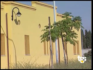 Formiche nella camera mortuaria dell'ospedale Civico di Palermo