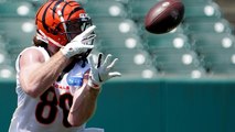 Cincinnati Bengals ADP Review: Hayden Hurst