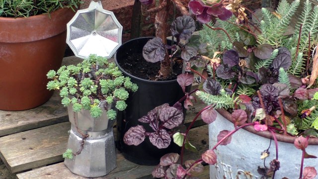 Paul on Politics - Friday 12th August 2022