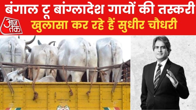How West Bengal has become hub of Cattle Smuggling?