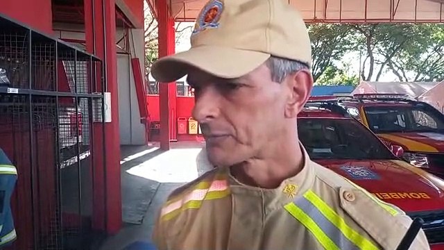 Cobra Cascavel é encontrada em terreno baldio no Jardim Aeroporto, em Umuarama