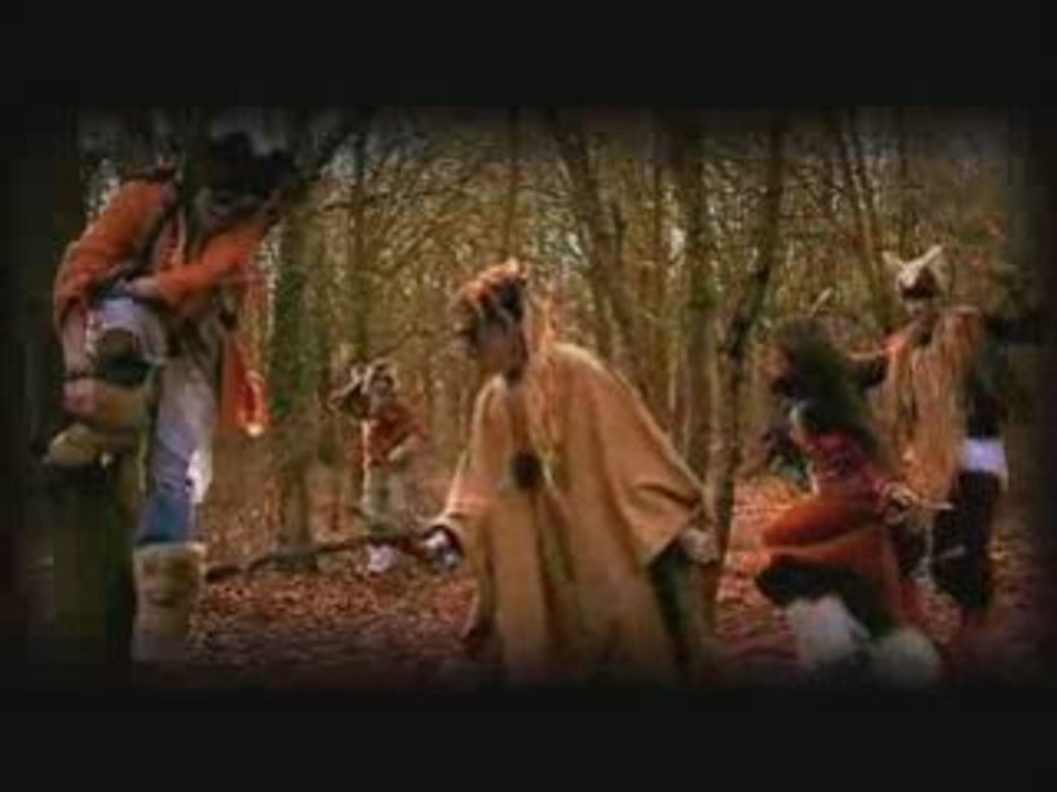 BFL - Tribou