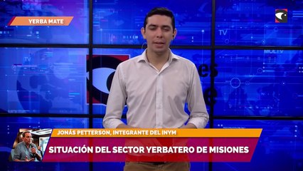 Situación del sector yerbatero de Misiones