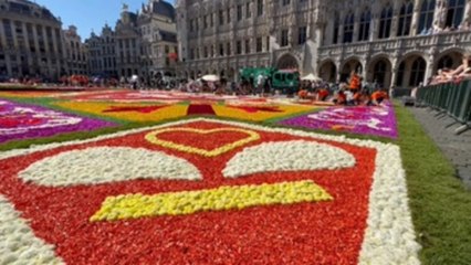 Una efímera alfombra de miles de flores inunda de color la Grand Place belga