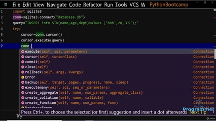 Python Database Insert Operation