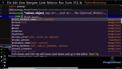 Mongodb Connection to python