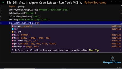 Mongodb  Insert Document