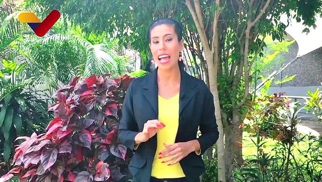 En Venezuela desarrollan tratamientos para la regeneración de tejidos a través de células madre