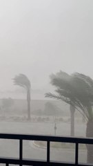 Rain near the Loop 101 and Hayden Road, as captured by Cathy Rosonke