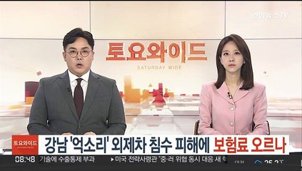 강남 '억소리' 외제차 침수 피해에 보험료 오르나