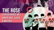 THE ROSE llega a México: Curiosidades del grupo de K-pop que debes saber