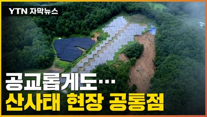 [자막뉴스] "완전히 인재"...산사태 현장 공통점 / YTN