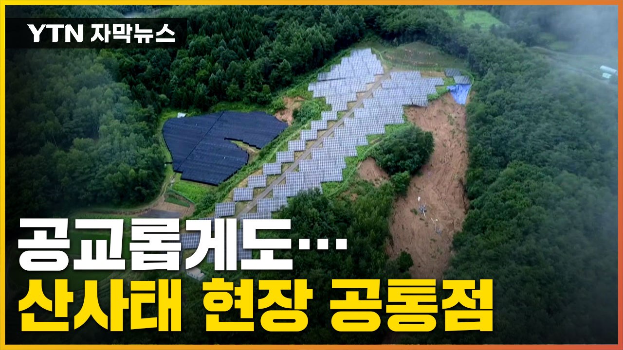 [자막뉴스] "완전히 인재"...산사태 현장 공통점 / YTN