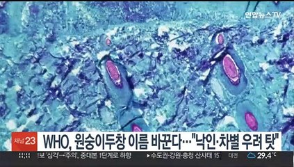 WHO, 원숭이두창 이름 바꾼다…"낙인·차별 우려 탓"