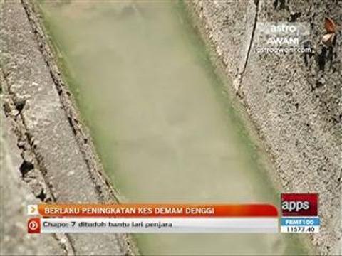 Berlaku peningkatan kes demam denggi