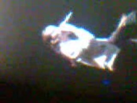 kenza en concert soissons