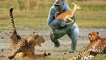 15 Unbelievable Animals That Saved Other Animals