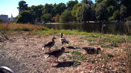 Drought in UK have forced water restrictions in parts of England