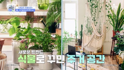 ※집순, 집돌이 주목※ 코로나 시대의 홈 스타일링 키워드 P.L.A.Y