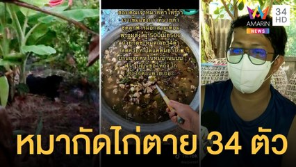 หมากัดไก่ชนตาย 34 ตัว เจ้าของไม่เอาเรื่องจับต้มยำเลี้ยงทั้งหมู่บ้าน | ข่าวเที่ยงอมรินทร์ | 13 ส.ค.65