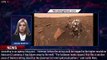 Debris found on Mars surface likely netting, NASA says - 1BREAKINGNEWS.COM
