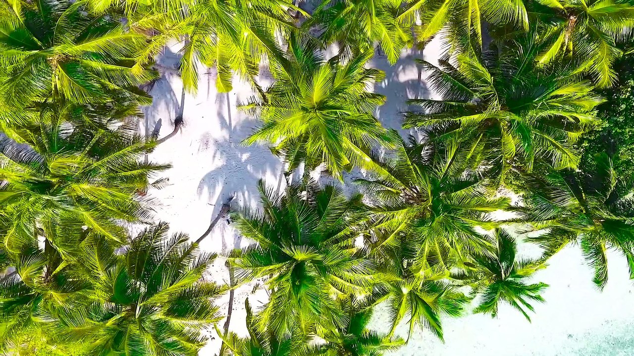 Maldives Stock Videos - Royalty Free Maldives Video - The Maldives No Copyright Videos - Romance Post BD