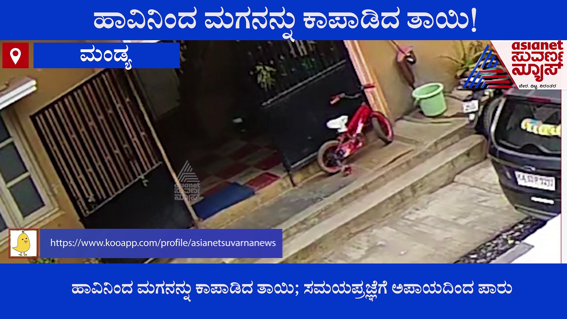 ಹಾವಿನಿಂದ ಮಗನನ್ನು ಕಾಪಾಡಿದ ತಾಯಿ, ವಿಡಿಯೋ ವೈರಲ್!